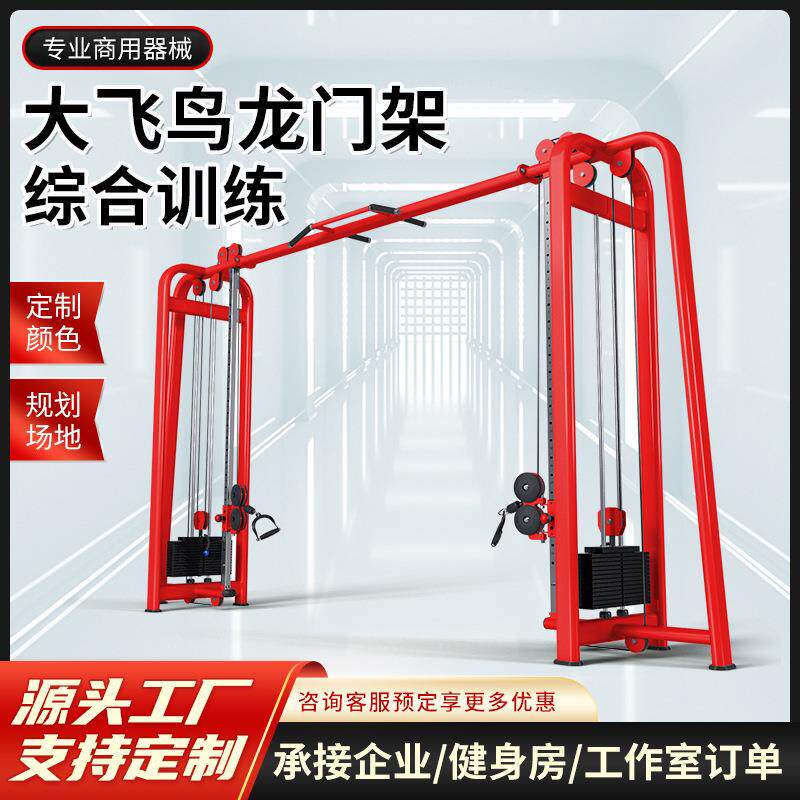 健身房器材大飞鸟综合训练器多功能引体向上双臂机龙门架健身器械