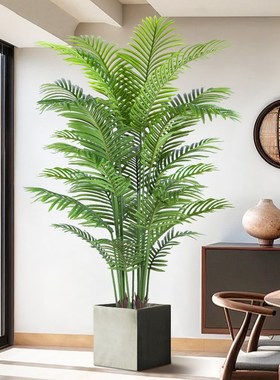 大型落地玄关装饰品电视柜高级仿生客厅仿真绿植散尾葵假盆栽