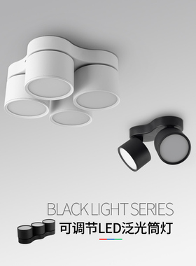 明客厅灯方形吸顶度智能色调光