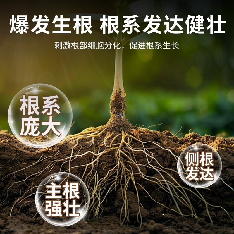 贝可施强效壮根粉植物通用型移栽扦插壮苗剂绿植养花卉肥料生根剂
