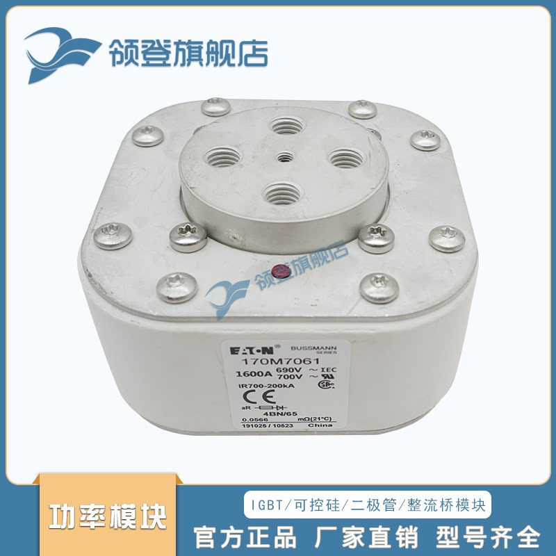 熔断器保险丝170M7058 7059 7060 7061 7062 7063 7064 7065 7066