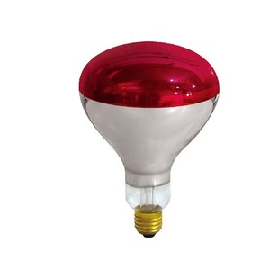 远红外线理疗灯灯泡w 烤电灯泡理疗家用电烤灯神灯红光灯灯泡