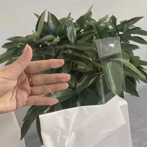 耐力板全阳光板采光板板塑料板屋顶车棚雨棚种植遮雨玻璃板