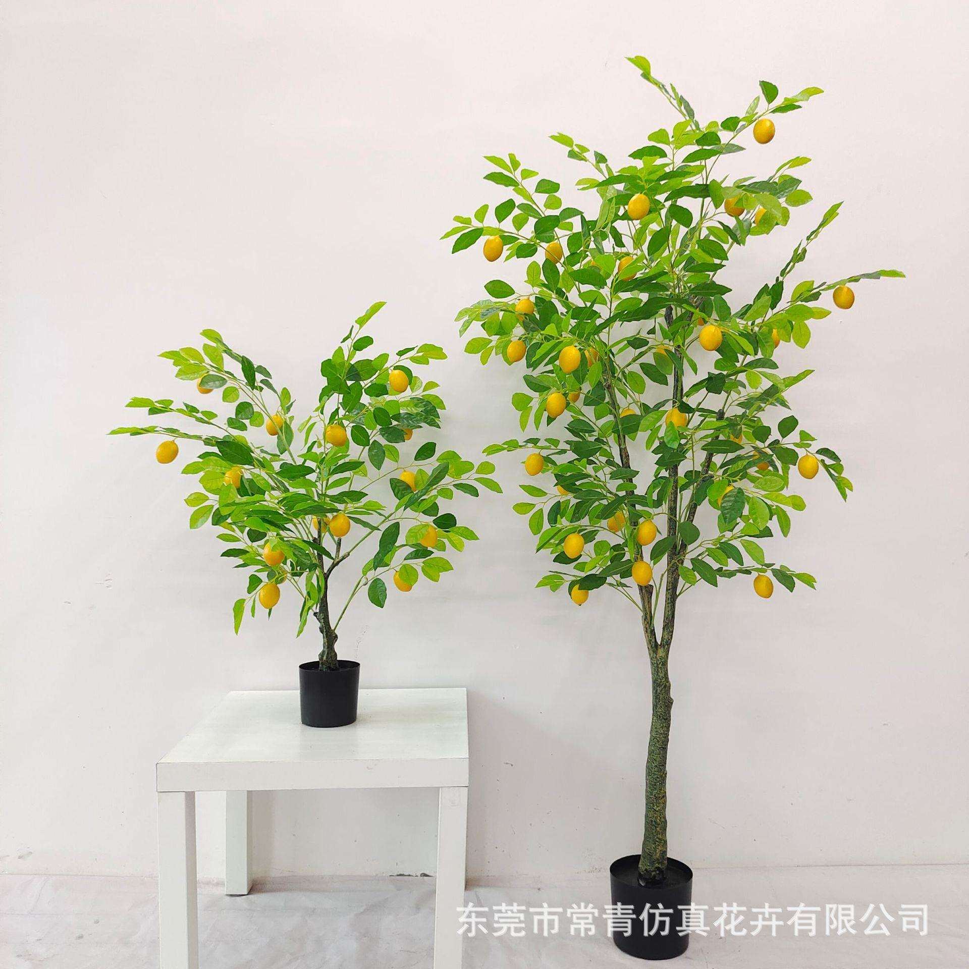 常青仿真植物小盆栽 软装设计造景 家居室内摆件 仿真柠檬树绿植