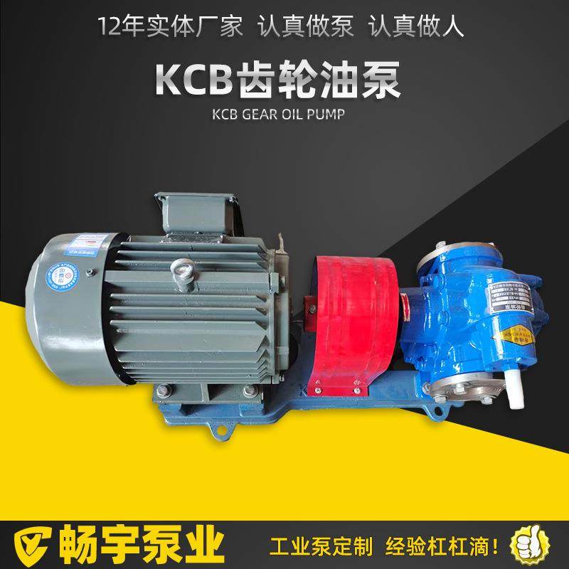 泊头畅宇泵业供应kcb齿轮油泵合金轮抽油泵电加热kcb齿轮油泵,五金/工具,其它泵类型,淘宝优惠券,粉丝福利购,淘宝优惠卷
