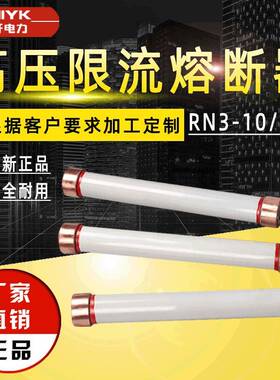 RN3-10/60A高压限流熔断器10kV户内高压限流熔断器RN1/RN2熔断器