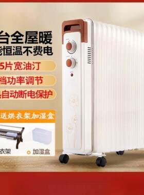 菊花家用取暖器加宽电油汀酊卧室电暖器母婴暖气片静音节能17片