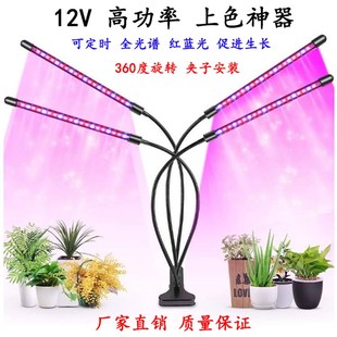 LD生长灯全光谱多肉夹子补光灯仿太阳日光调光循环定时