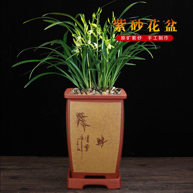 宜兴原矿紫砂兰花专用盆精美四方手工刻绘透气绿萝君子兰盆景花盆