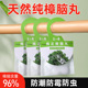 天然樟脑丸挂式 防虫防潮除味驱虫室内樟脑球防蟑螂丸