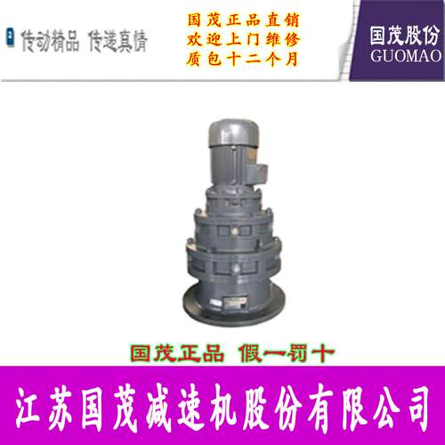 国茂牌摆线针轮减速机XLEY64-1003-0.55