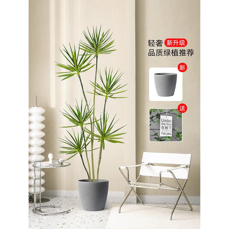 仿真绿植龙舌兰盆栽假新款千年木仿真树家居落地装饰铁树真