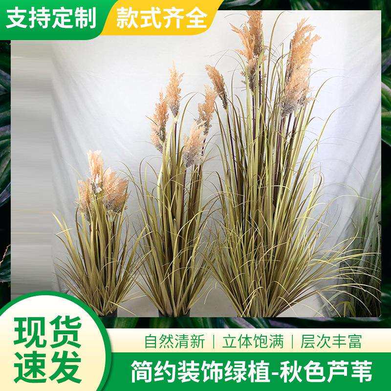 人造植物仿真棕秋色芦苇干花大洋葱草绿植盆栽室内装饰真盆景