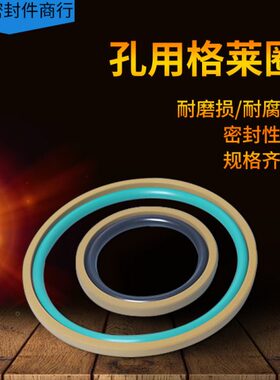 格莱圈STD 165*144*8.1 170*154.5/149*6.3/8.1 组合油封孔用