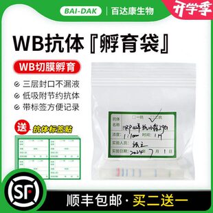 百达康 WB抗体孵育袋 抗体杂交袋 抗体稀释袋 一抗二抗袋子带标签