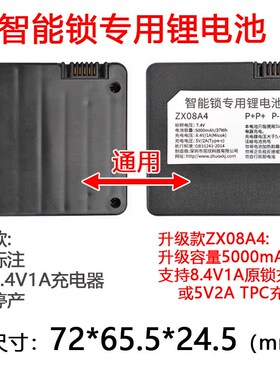 智能锁专用池五针电池Li-ion Chrger put9顶部充电器