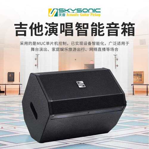 天音SKYSONIC SMART II 电木吉他音箱户外充电民谣吉他弹唱便携