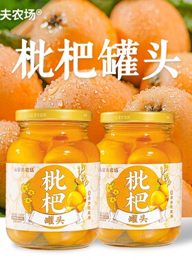 枇杷罐头418g*2罐水果罐头果肉饱满舒润清甜0防腐剂0甜味剂应季