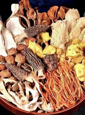 10袋菌汤包 羊肚菌虫草花干货煲汤炖鸡鸭鸽子汤农家特产菌菇