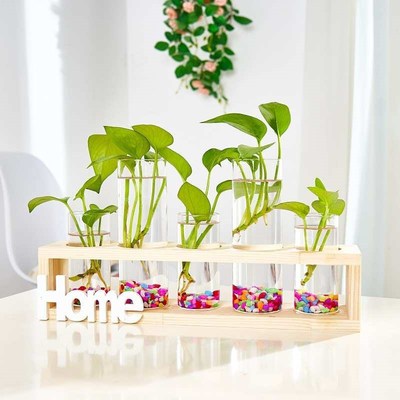 简约创意玻璃瓶花瓶木架s水培花瓶绿萝植物透明桌面摆件容器装饰