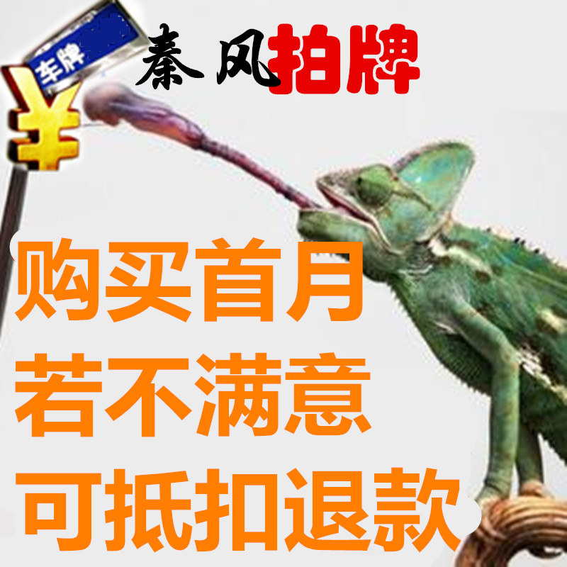 秦风沪牌指导拍牌助手服务上汽牌拍牌辅助策略