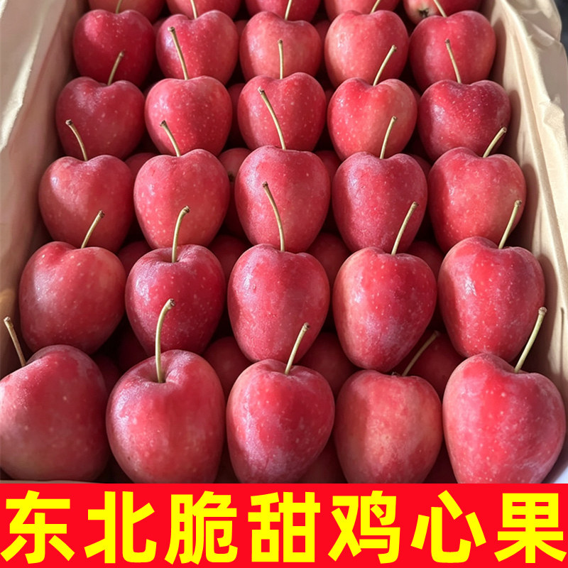 正宗东北鸡心果新鲜5斤当季水果酸甜嘎啦小苹果小沙果绣海棠果
