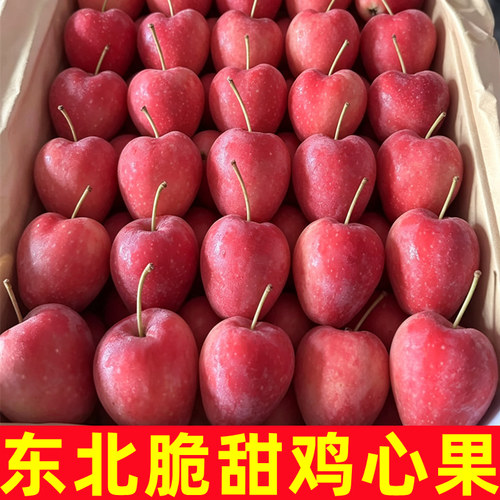正宗东北鸡心果新鲜5斤当季水果酸甜嘎啦小苹果小沙果绣海棠果