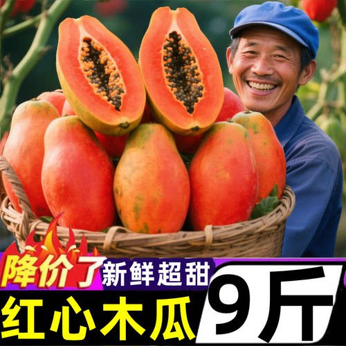 广西冰糖红心牛奶木瓜孕妇水果甜