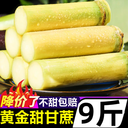【云南黄金甜甘蔗】好吃推荐！