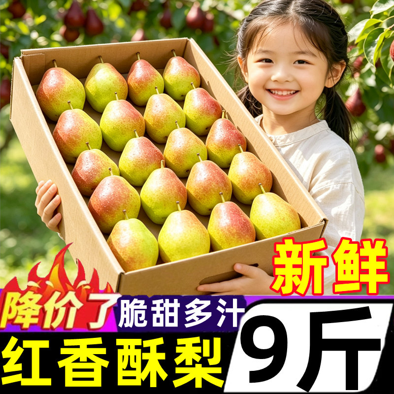 脆甜红香酥梨新鲜水果