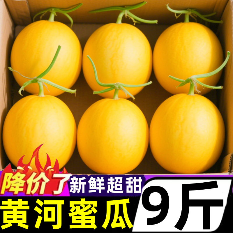 甘肃沙漠民勤蜜瓜甜瓜新鲜9斤