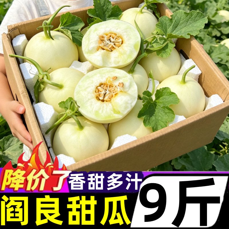 正宗陕西阎良甜瓜新鲜9斤当季水果脆甜香瓜蜜瓜小白瓜羊角整箱