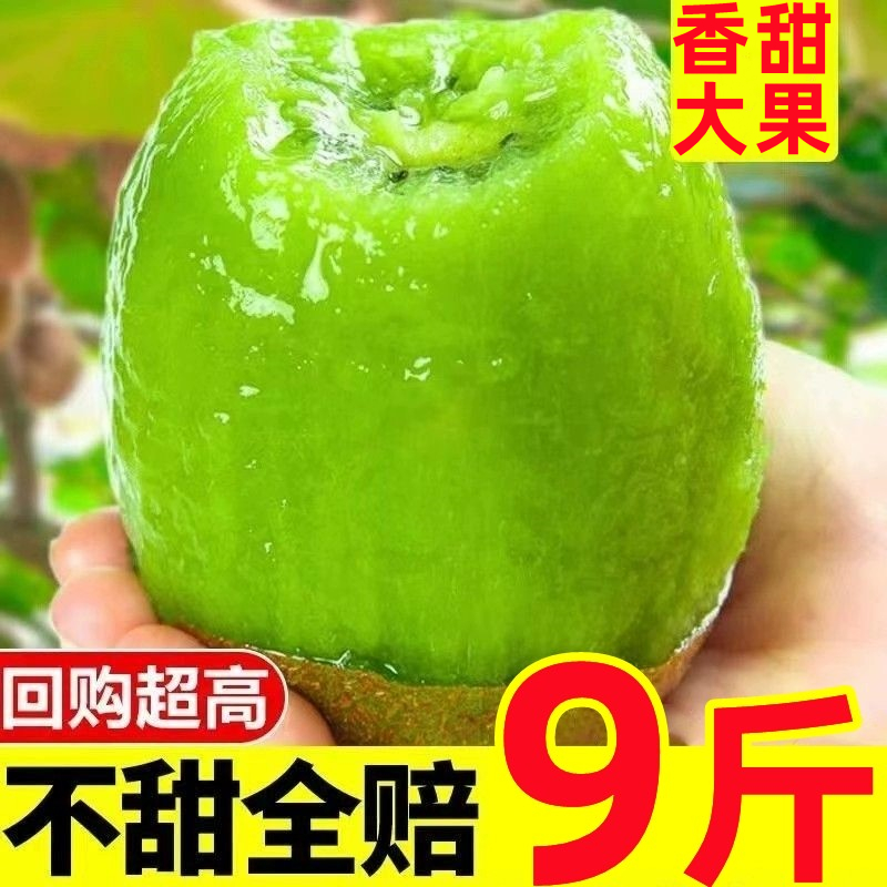 2025陕西绿心徐香猕猴桃9斤新鲜奇异果当季水果红5心翠9香弥猴桃