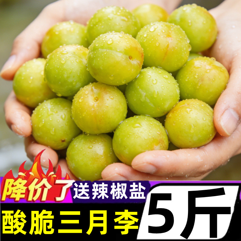 正宗云南三月李子新鲜5斤酸脆当季水果三华青脆李子新摘现发整箱
