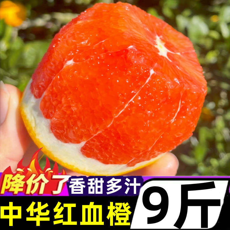 中华血橙红心橙子新鲜