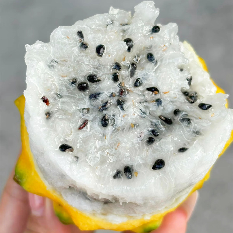 新鲜海南燕窝果麒麟果