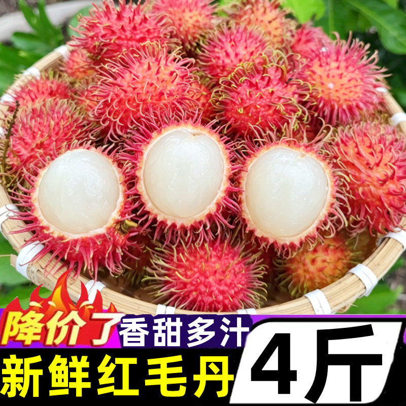 【速发！】正宗红毛丹新鲜4斤当季热带水果甜毛荔枝毛丹果整箱