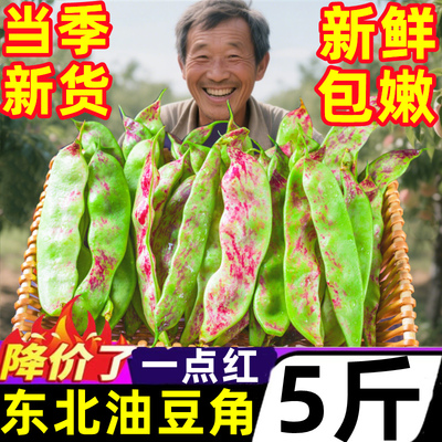 【官方推荐】大东北正宗油豆角！