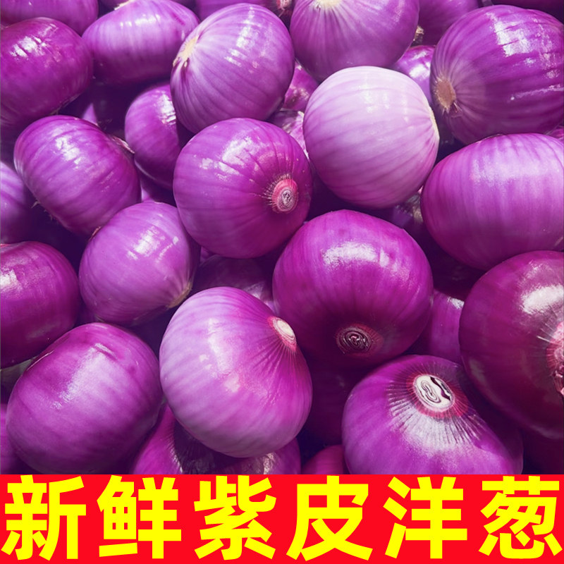 正宗水果紫皮洋葱扁圆葱头