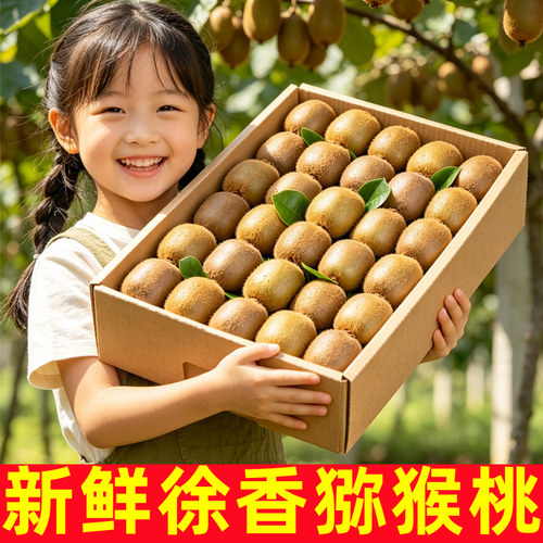 正宗陕西徐香猕猴桃绿心