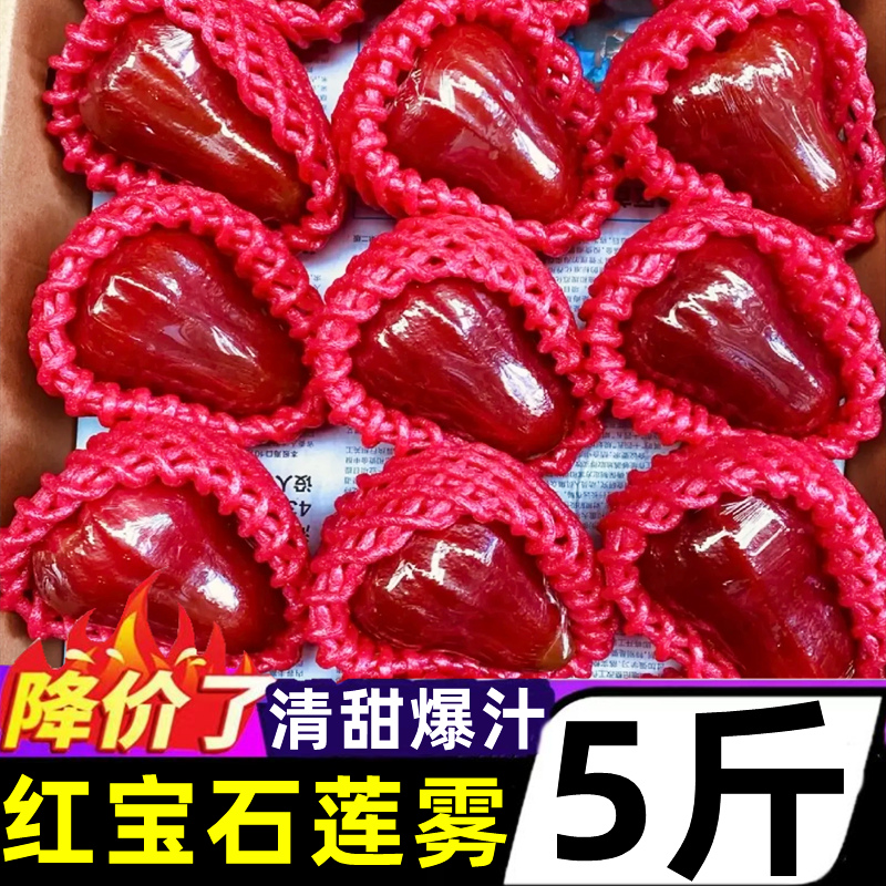 海南红宝石莲雾新鲜当季5斤脆甜多汁莲雾果黑金刚热带水果整箱,水产肉类/新鲜蔬果/熟食,莲雾,淘宝优惠券,粉丝福利购,淘宝优惠卷