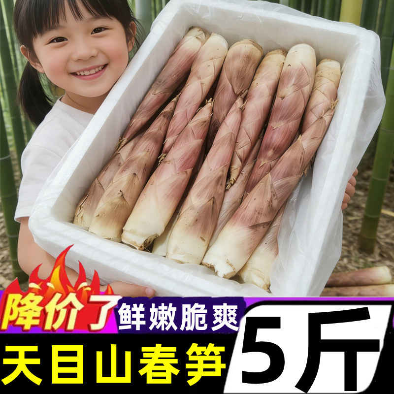 正宗临安天目山春笋5斤新鲜雷笋竹笋新挖嫩芽笋冬笋鲜笋尖蔬菜