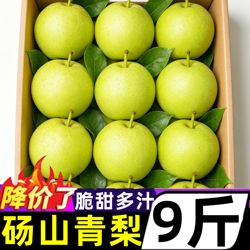 正宗砀山翠冠梨子新鲜9斤