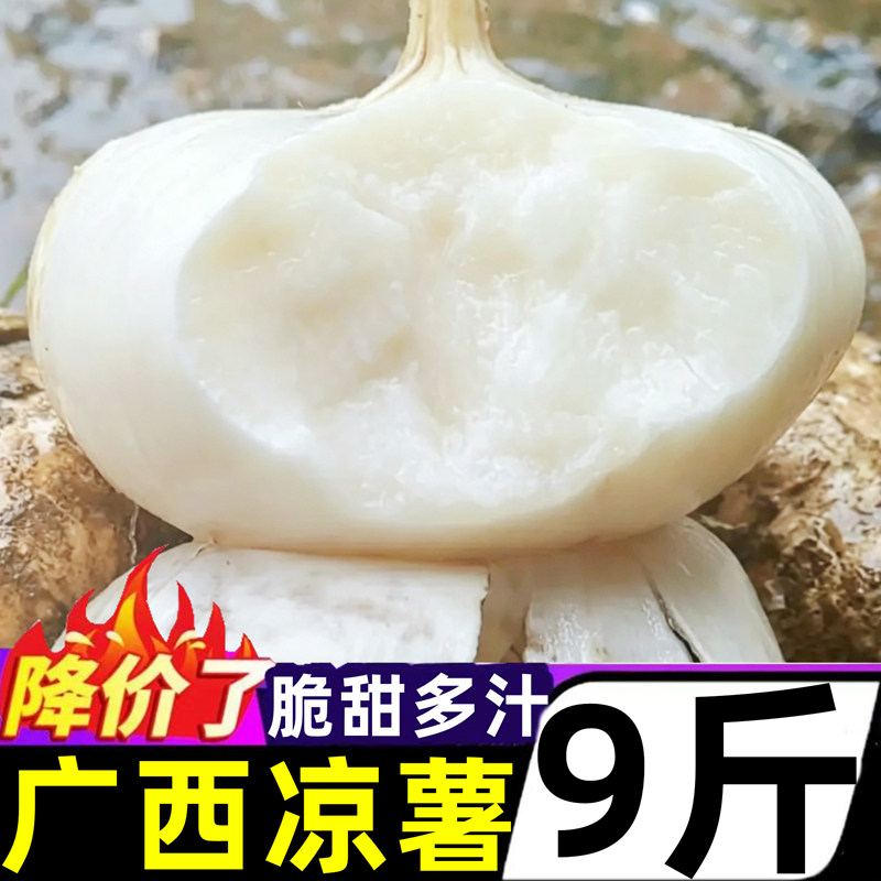 广西凉薯9斤新鲜大果农家现挖白地瓜番薯豆薯沙葛地萝卜特产整箱