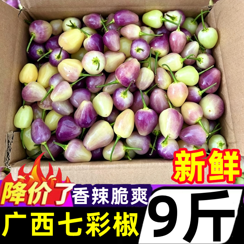 广西七彩椒泡椒新鲜五彩椒