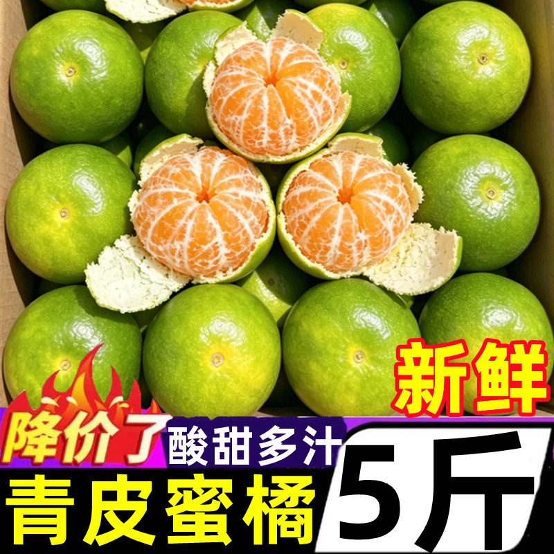 正宗湖北青皮蜜橘5斤新鲜水果当季酸甜蜜桔柑橘桔子孕妇大果整箱