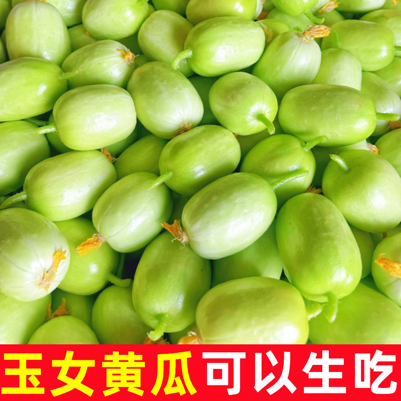 山东玉女黄瓜新鲜小黄瓜当季蔬菜水果拇指黄瓜青瓜旱白玉蔬菜整箱