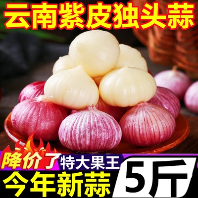 云南紫皮独头蒜应季独蒜湿蒜新蒜