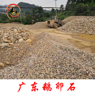 广东鹅卵石铺路石小粒园林铺地石子大号漂染用或变压器站天然石头