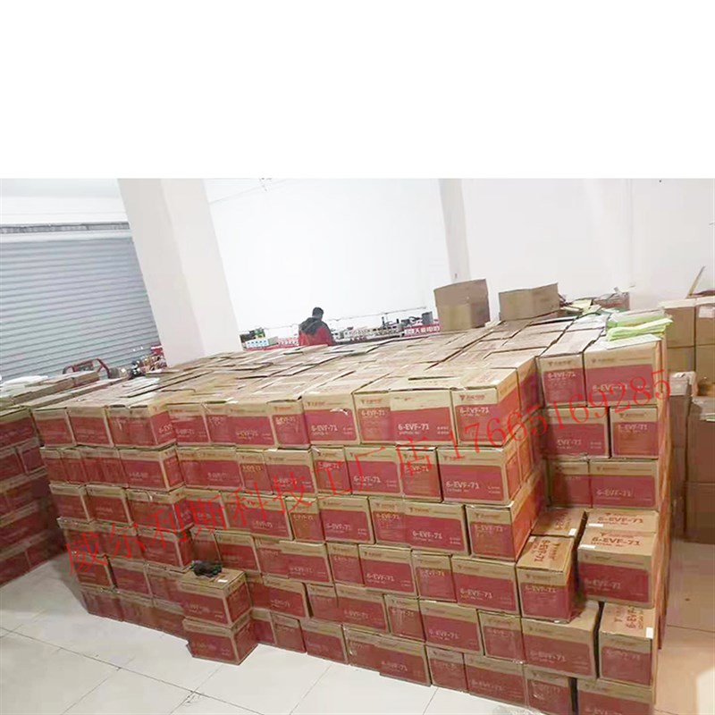 天能-EVF-100/ V100HH电叉车 洗地机 四轮电动汽车电池